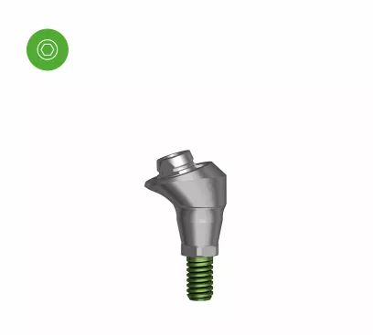 3863 - Multi Unit Angled abutments 17°