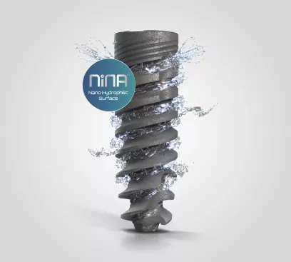 NiNa Category