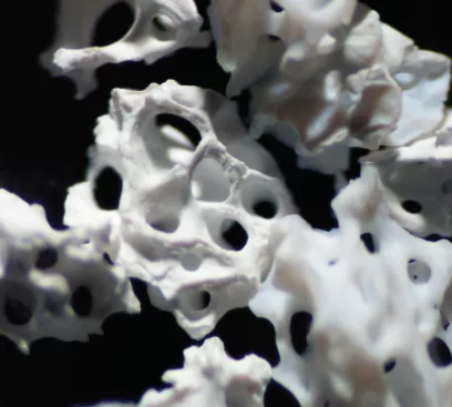 Particle