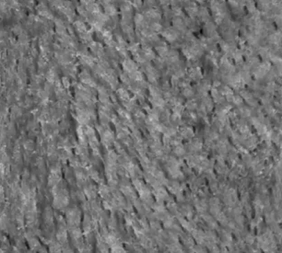 rough surface