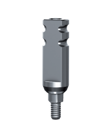 Impression Transfers, Analogs & Prosthetic Screws