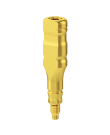 Impression Transfers, Analogs & Prosthetic Screws